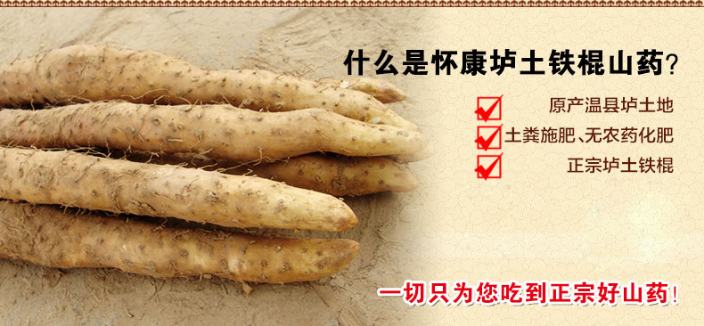 温县正宗垆土地铁棍山药，河南铁棍山药专卖店