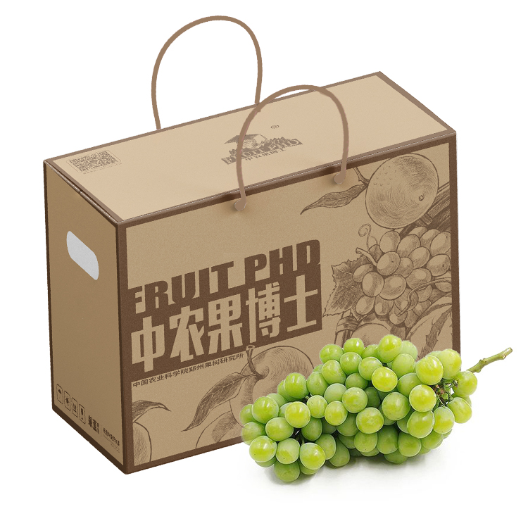 阳光玫瑰葡萄 选自中国农科院郑州果树研究所指导基地